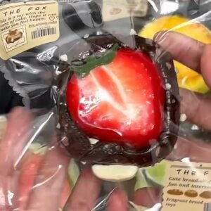 306TFX Super Popular Strawberry Series Squishies 🍓✨TFX・超人気いちごシリーズスクイーズ 🍓✨