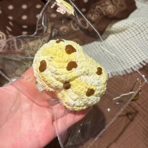 66006 HooHoo Squishy Cheese Flower Roll (Dry Cream Texture Series) / HooHoo捏 奶酪花卷