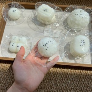 174029 Boom Order Mini Glutinous Rice Ball (Moldable Sticky Clay Texture Series) / 我一定会爆单的 糯米小饭团(可塑黏糊泥)