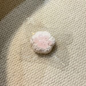 161017 Chidiao Suanzha Cat Paw (Cream Clay Texture Series) / 吃掉酸楂 猫爪(奶油泥触感系列)