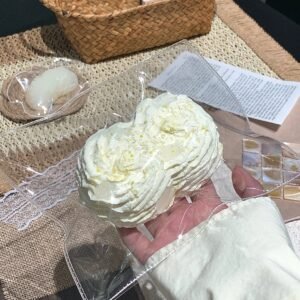 87013 Cream Qiaoyi White Pomelo Double Cookie (Cream Clay Texture Series) / 奶油乔一 白柚ダブルクッキー (クリームクレイ触感シリーズ)