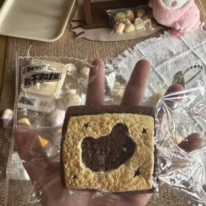 206015 Ganbugan Nie Cocoa Bear Toast (Oven Cream Clay Texture Series) / 敢不敢捏 可可熊烤吐司（烤箱乳膏泥触感系列）