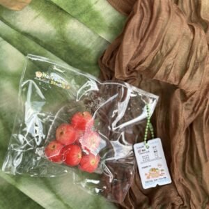 211024 Honey Bubble Squishy Fruit Bag Apple / 哈尼泡泡 水果袋苹果