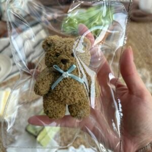 181013 Little Yundou Brown Teddy Bear (Thick Clay Texture Series) / 小小小小小芸豆 棕色泰迪熊熊捏捏(厚泥手感系列)