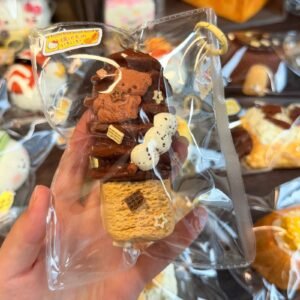 141028 Toovo Cute Bear Chocolate Ice Bar (Dry Cream Cheese Clay Texture Series) / Toovo cute 捏捏 熊熊巧克力棒冰 (干奶酪触感系列)