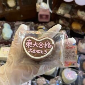 146020 Xiaoxiong Bear Todai Pass Chocolate (Bursting Water Cream Texture Series) / 小熊Bear捏 东大合格巧克力 (爆浆水奶油触感系列)