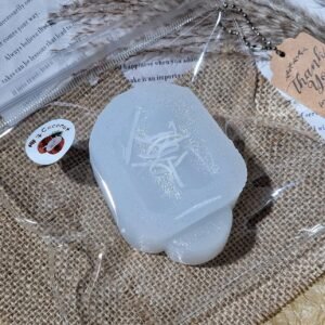 139027 Yizhi Feige Nie Coconut Series Ice Cream Bar (Cream Cheese Clay Texture Series) / 一只肥鸽捏 椰汁系列 雪糕 (干酪泥触感系列)