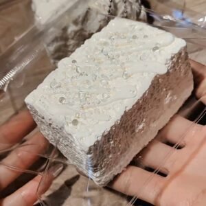 139042 Yizhi Feige Nie White Moonlight Series Sauce Short Toast (Cream Clay Texture Series) / 一只肥鸽捏 白月光系列 短吐司（淋酱） (新奶油泥触感系列)