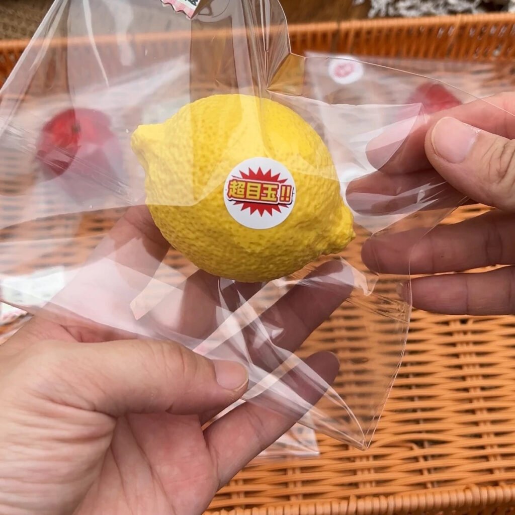 272081 3Treas Gel Lemon (Gel Texture Series) / 3Treas 凝胶柠檬（凝胶触感系列）