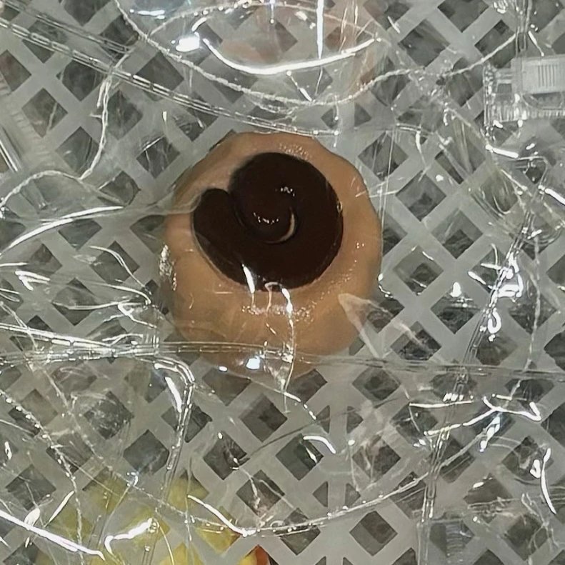 410009 Mantou Squishy Chocolate Fish Cake - Cosmetic Defect (Soft Texture Series) / 馒头捏 磨巧鱼板（外观瑕疵）（软触感系列）