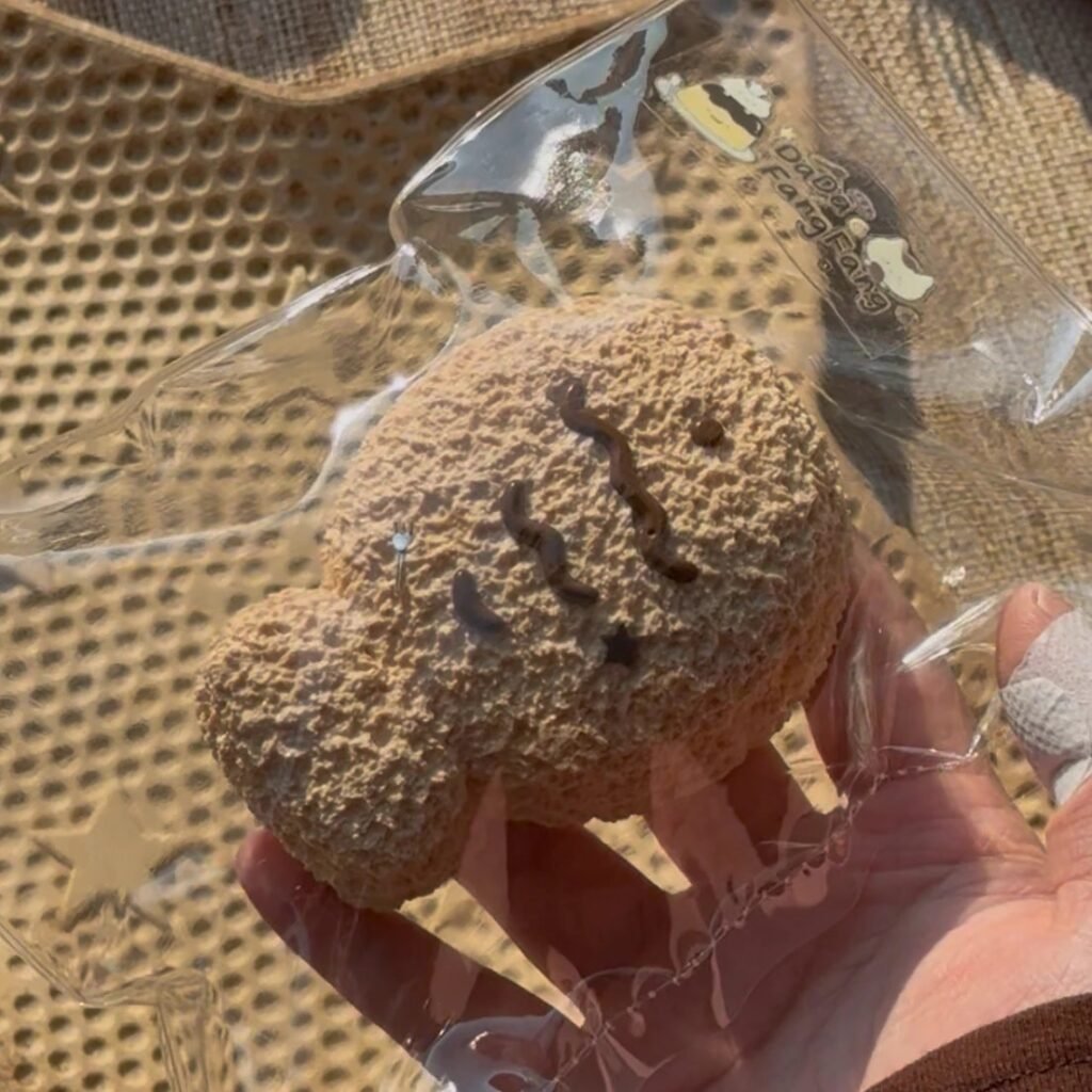 361019 Da Da Fang Fang Mocha Little Fish (Fluffy Clay Texture Series) / 大大方方 摩卡小鱼(蓬松泥触感系列)