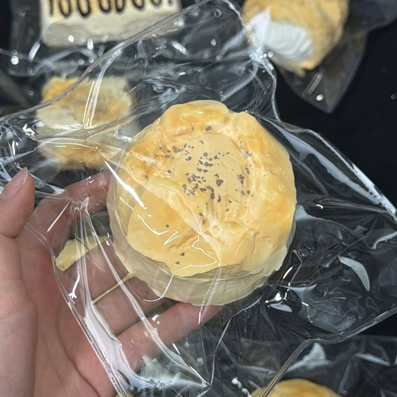 149091 DuozaiNN Filled Cream Puff (Cocoa Sticky Clay Texture Series) / 多仔捏捏 夹心泡芙(可可黏糊泥触感系列)