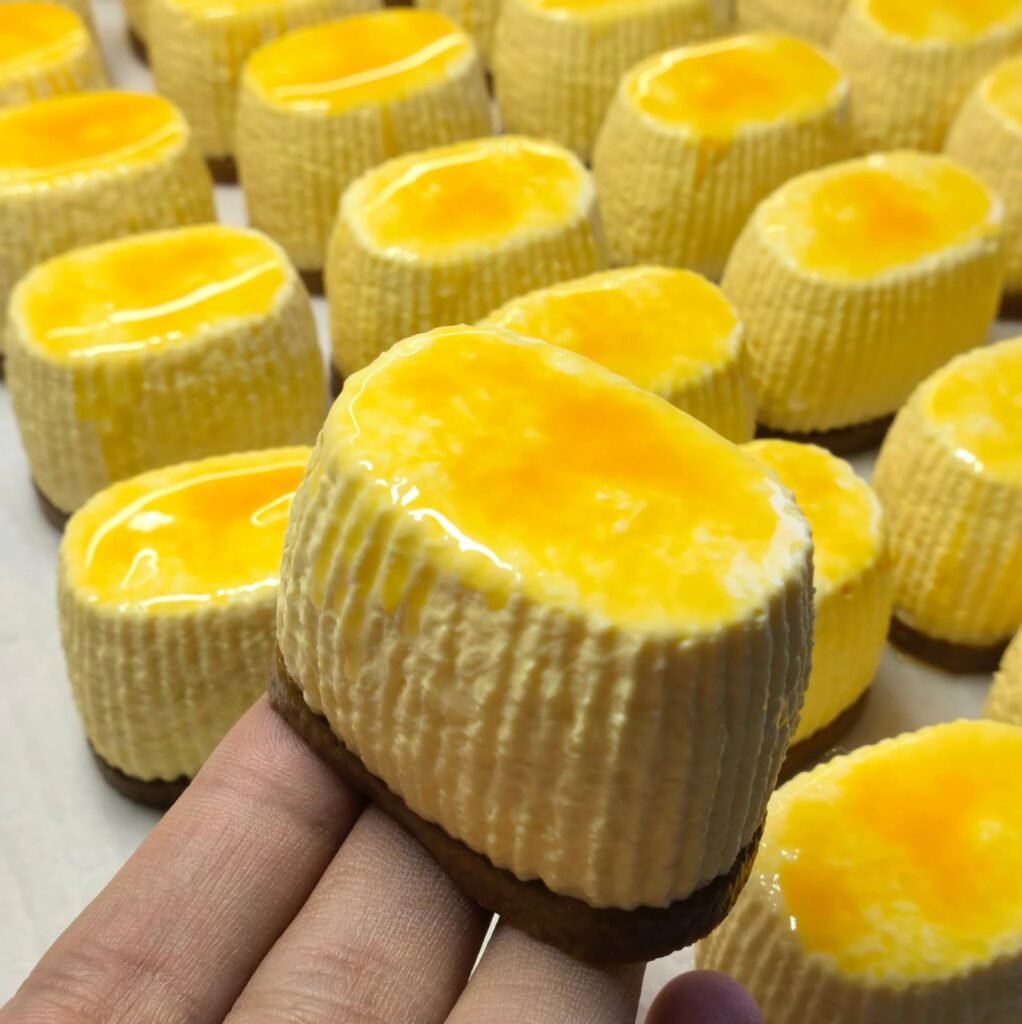 490046 One Wan Meixiangdao Soft-Baked Cheesecake (Coconut Oil Texture Series) / One弯没想到 半熟芝士(椰子油触感系列)