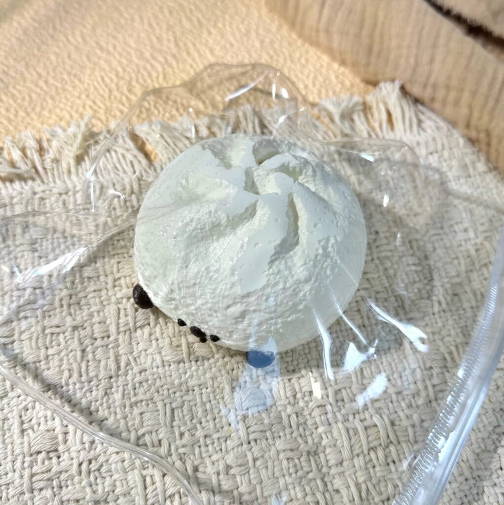 483001 Rutangle Appearance-Defect Steamed Bun (Glutinous Rice Texture Series) / 乳糖酪 全瑕包子（糯米触感系列）